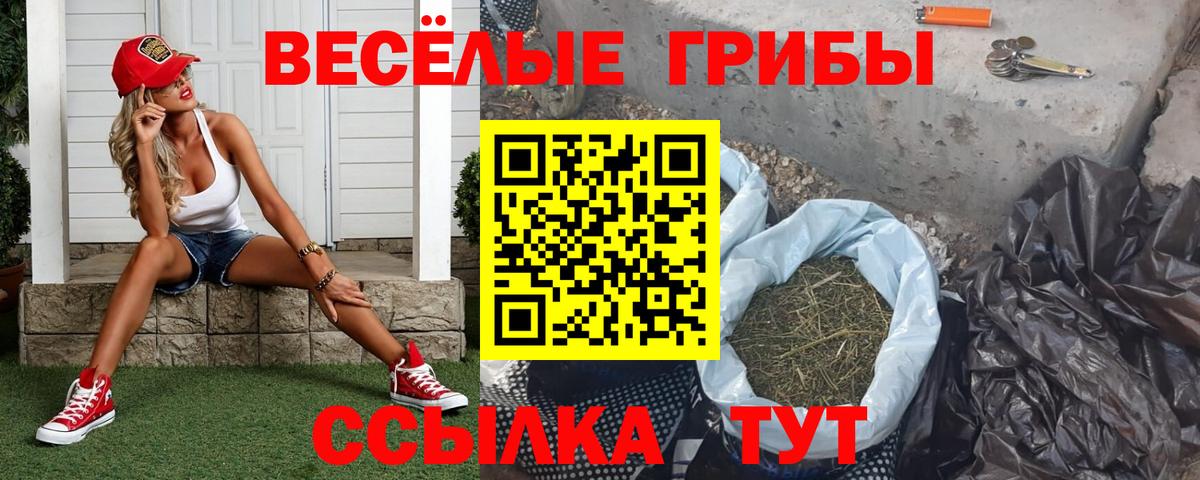 Галлюциногенные грибы мухоморы  Вход с VPN  Псилоцибиновые грибы мицелий  Лосино-Петровский 